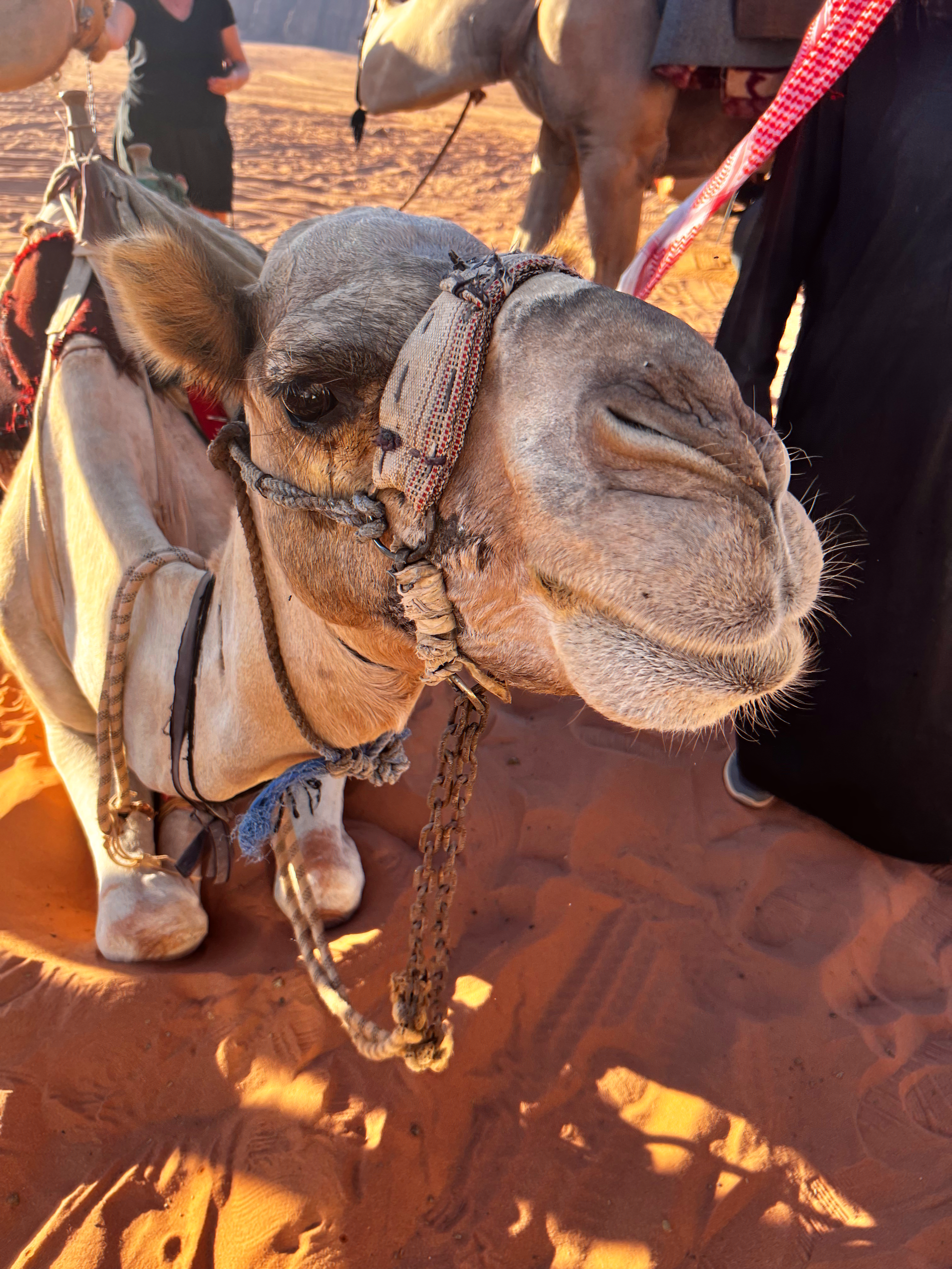 new friend, just met